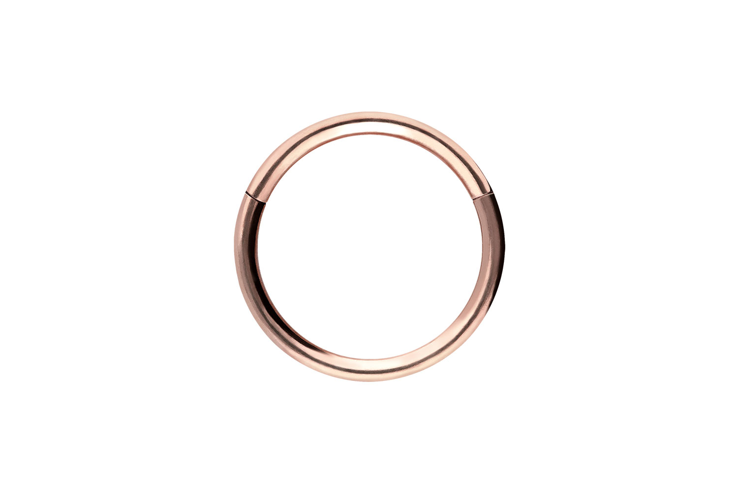 Chirurgenstahl Segmentring Clicker Piercing